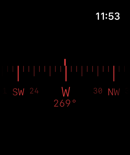 Speedo & Co screenshot 23
